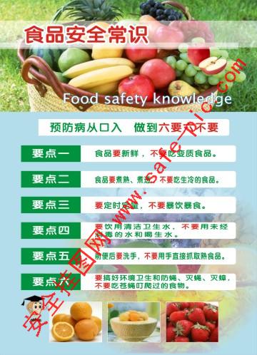 食品安全常识挂图,食堂文化挂图,安全常识挂图